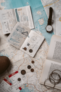 Larisa Lein Maps & Passports image2